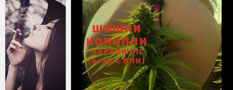 площадка формула  Каменногорск  Канабис OG Kush 